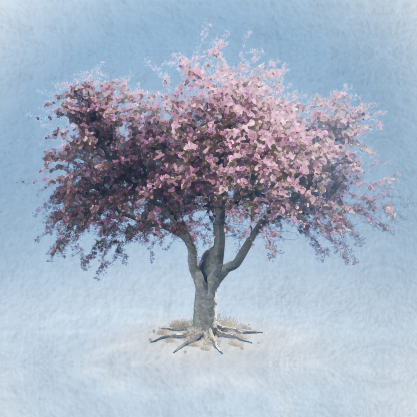 Cherry tree on a blue background